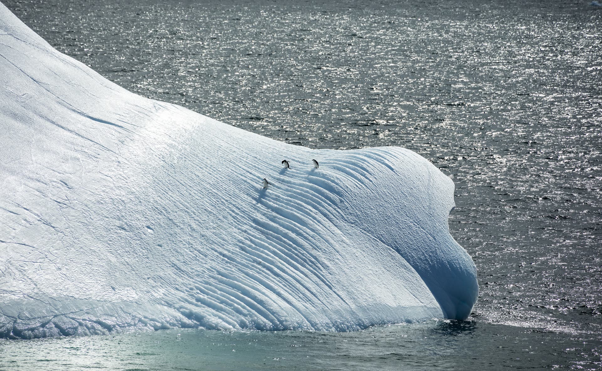 Antarctica