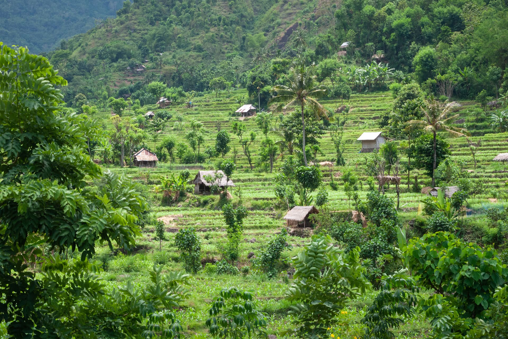 Southeast Asia